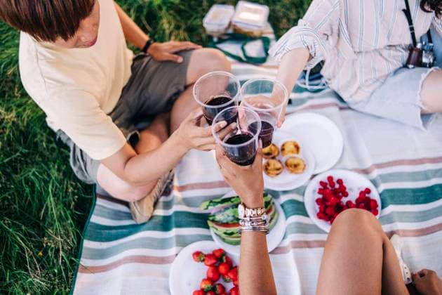 Friends toasting drinks during picnic at park model released Symbolfoto ASGF01402