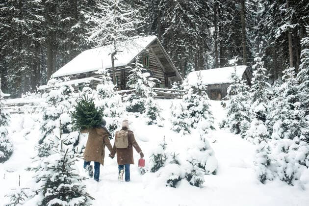 Man carrying tree while walking with woman on snow model released Symbolfoto property released HHF05667