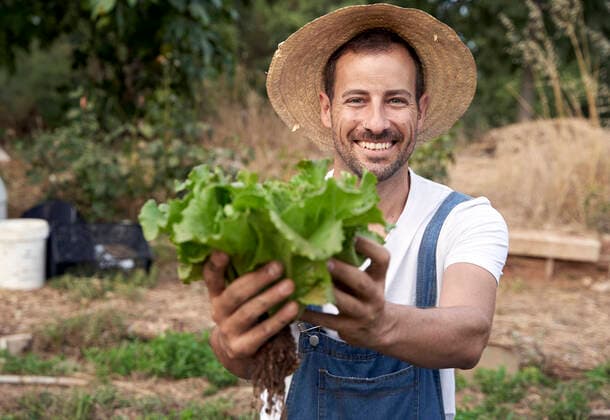 Happy male farm worker in hat offering fresh green lettuce model released Symbolfoto VEGF04944