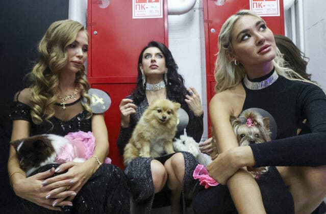 MOSCOW, RUSSIA â€“ SEPTEMBER 28, 2021: Dogs with their owners at a ceremony to present the 2021 Golden Pet Awards at the Federation Tower of the Moscow International Business Centre. Vladimir Gerdo TASS  TS11255D