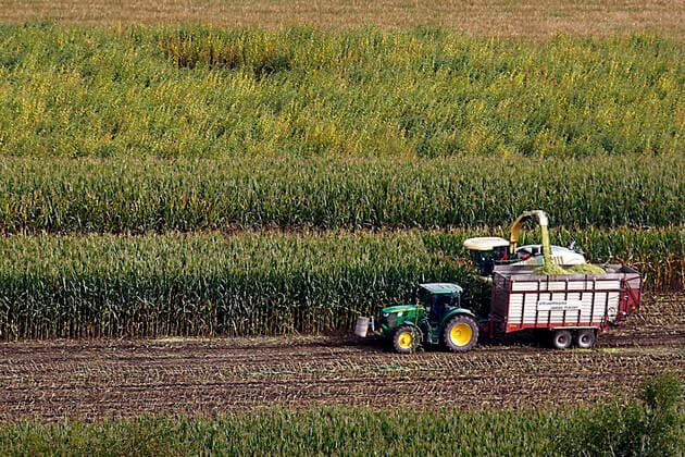 Erfurt, 28.09.2021 Erntemaschinen bei der Maisernte auf einem Feld in Erfurt- Dittelstedt *** Erfurt, 28 09 2021 Harvesters harvesting maize in a field in Erfurt Dittelstedt