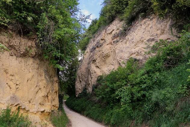  solshohlweg eichberg near bickensohl in the kaiserstuhl, 12.10.2020, Copyright: xKieferx Panthermedia26142379