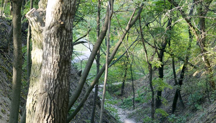 KIEV, UKRAINE â€“ OCTOBER 6, 2021: A view of the Babi Yar memorial site during the 80th anniversary of the largest local WWII massacre. Babi Yar is a ravine in the northwestern part of the Ukrainian capital, where Nazi German troops and local collaborationists carried out mass executions of Jewish and Roma civilians as well as Soviet prisoners of war. Irina Yakovleva TASS  TS1134B1
