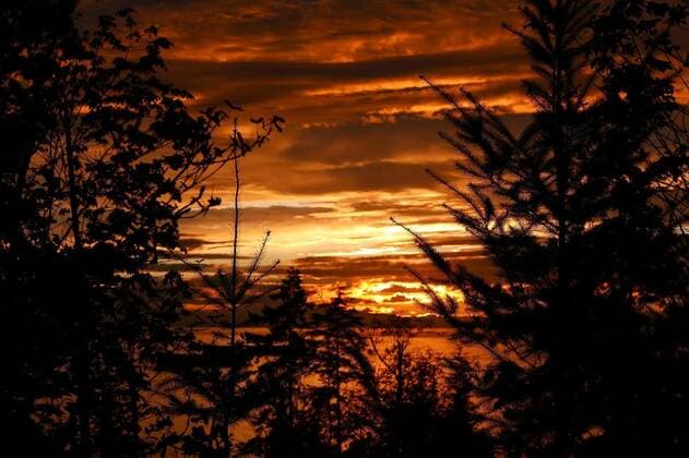 Beautiful sunset view at Stanley Park in Vancouver BC Canada., 13.10.2020, Copyright: xpayphotox Panthermedia27124165