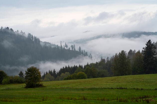 Tiefe Wolken und Nebel über dem Wald bei Häusern (Landkreis Waldshut) im Hochschwarzwald im Biosphärengebiet Schwarzwald in Baden-Württemberg. Foto: Volker Hohlfeld Schwarzwälder Wald *** Deep clouds and fog over the forest near Häusern district Waldshut in the Upper Black Forest in the biosphere area Black Forest in Baden Württemberg Photo Volker Hohlfeld Black Forest