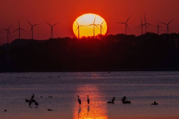 Die Sonne geht hinter Windraedern am 09.10.2021 am Stausee in Straussfurt in Thueringen unter. search: Deutschland Germany Thueringen Thueringia Tier Tiere Tierreich Tierwelt Fauna Vogel Voegel Zugvogel Kranich Kraniche Schwarm Vogelschwarm Zugvoegel Zugvogel Aussenaufnahme Wetter Wetterfeature Herbstfeature Feature Landschaften Landschaft Natur Landschaftsfoto Landschaftsphoto Sonnenuntergang Abendsonne Abendhimmel Herbstwetter Herbst Natur Naturfoto Oekologie oekologisch Naturschutzgebiete Vogelschutz Vogelschutzgebiet Gebiet Naturphoto Wetterfeature Stimmung stimmungsvoll Wetterfoto Wetterbild Wetterphoto Uebersicht Totale Wetterfeatures Herbstfeatures Kalender Kalenderbild naturschoenheit pur Tourismus touristisch naturerlebnis naturn