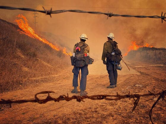 Bilder des Jahres 2021, News 10 Oktober News Themen der Woche KW41 News Bilder des Tages News Bilder des Tages USA, Brände in Kalifornien October 12, 2021, Goleta, California, USA: Santa Barbara County Fire Hand Crew members fight fire with fire and burn off pockets of grass along northbound Highway 101 north of Arroyo Hondo Canyon. Goleta USA - ZUMAz03_ 20211012_new_z03_016 Copyright: xMikexEliason SBCFirex