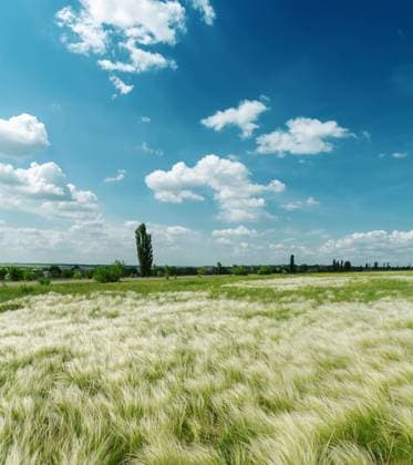 green meadow under cloudy sky Copyright: xMazurykxMykolax 9003536