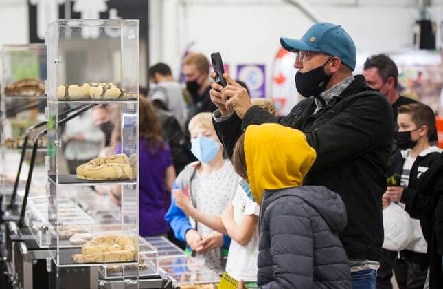(211017) -- MISSISSAUGA (CANADA), Oct. 17, 2021 -- A man takes photos of pet snakes during the 2021 Toronto Reptile Expo at the International Center in Mississauga, the Greater Toronto Area, Canada, on Oct. 17, 2021. Kicking off on Sunday, this event provided an opportunity to view species of reptilian specialty pets from across Canada. (Photo by Xinhua) CANADA-MISSISSAUGA-REPTILE EXPO ZouxZheng 