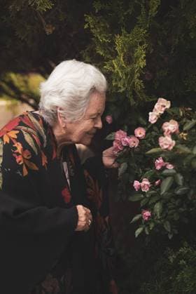 IMAGO Creative: Sommer, Sommertage im Garten Side view of elderly female standing near blooming bush of pink roses while touching and smelling fresh flowers on summer day, Model released LosMuertosCrew_Ageing_1.jpg Copyright: xLosxMuertosxCrewx MR