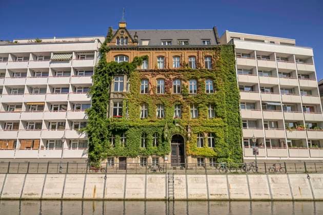 Begrüntes Haus, Friedrichsgracht, Mitte, Berlin, Deutschland