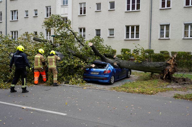 Bilder des Jahres 2021, News 10 Oktober News Themen der Woche KW42 In der Eichbuschallee in Treptow Köpenick ist ein Baum durch Sturmtief Ignatz auf ein geparktes Auto gefallen. Die Berliner Feuerwehr beseitigt den Baum. Berlin, 21.10.2021 *** In the Eichbuschallee in Treptow Köpenick, a tree has fallen on a parked car due to storm Ignatz The Berlin Fire Department removes the tree Berlin, 21 10 2021 Foto:xT.xBartillax xFuturexImage