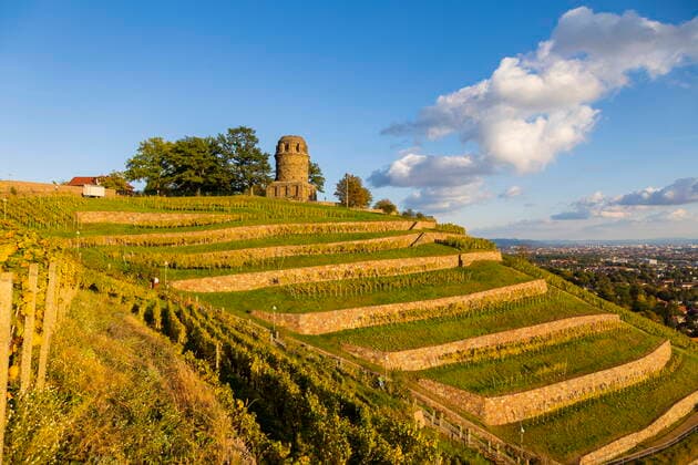 Weinberge Der Bismarckturm in Radebeul, auch Bismarcksäule, ist einer von etwa 145 in Deutschland noch existierenden Bismarcktürmen zu Ehren des Fürsten Otto von Bismarck (1815 1898). Der Radebeuler Turm wurde von Wilhelm Kreis als individueller Entwurf gestaltet, von Baumeister Alfred Große aus Kötzschenbroda erbaut und am 2. September 1907 eingeweiht. Er hat eine Höhe von 18 Metern. Nach langer Schließung und Verfall, wurde aus Spendenmitteln eine Treppe im Turm installiert. Seit 2020 wird der Turm im Sommerhalbjahr für Besucher geöffnet. Radebeul Sachsen GERMANY *** Vineyards The Bismarck Tower in Radebeul, also Bismarck Column, is one of about 145 Bismarck towers still existing in Germany in honor of Prince Otto von Bismarck