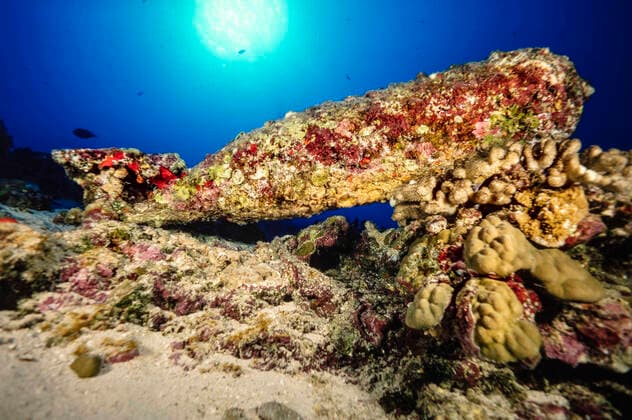 A coral encrusted unexploded bomb at depth off the island of Kahoolawe which was used for target practice during World War II. Hawaii. Copyright: DavidxFleetham StocktrekxImages DFL400117U
