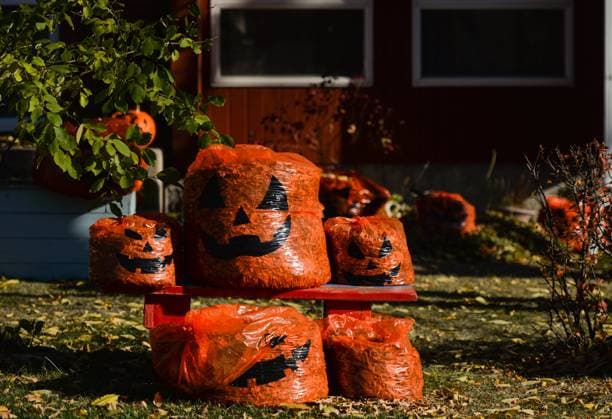 Daily Life In Edmonton Halloween leaf bags with pumpkin Halloween decorations seen outside a house in Edmonton. On Sunday, 21 August 2021, in Edmonton, Alberta, Canada. Edmonton Canada  Copyright: xArturxWidakx widak-dailylif210821_np8Hg