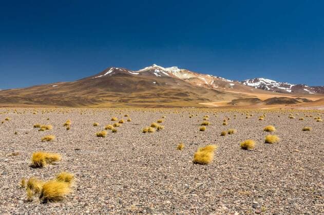  Atacama Desert, Chile. Salar Aguas Calientes. Lake Tuyacto. South America., 14.10.2020, Copyright: xSeuMelhorClickx Panthermedia28413638
