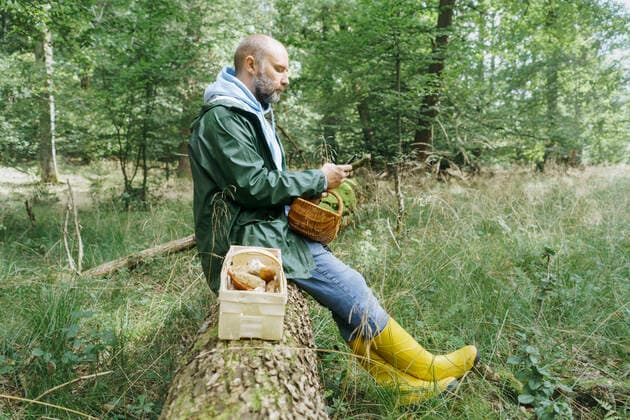 Mature man using mobile phone while sitting on tree trunk model released Symbolfoto KMKF01755