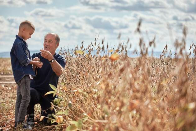 Smiling grandfather talking with grandson in agricultural field model released Symbolfoto ZEDF04261