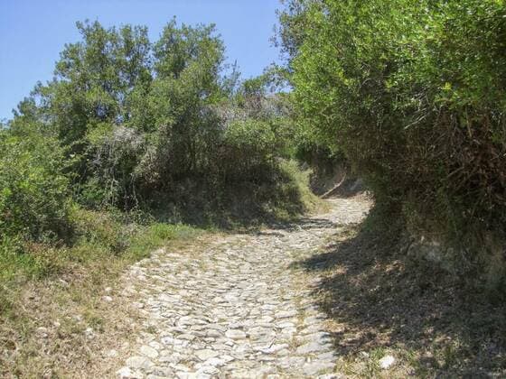  Sunken lane at Alonnisos in Greece, 14.10.2020, Copyright: xprillx Panthermedia28582560