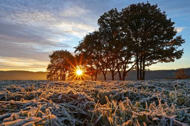 IMAGO Creative, Jahreszeit Herbst auf dem Land News Bilder des Tages Goldener Oktober, Herbst im Siegerland, ein sehr kalter Herbstmorgen im Siegerland in Siegen-Oberschelden, die Sonne geht auf und scheint durch die Baume, Frost hat sich ueber die Wiesen gelegt Sonnenaufgang im Siegerland am 25.10.2021 in Siegen Deutschland. *** Golden October, autumn in Siegerland, a very cold autumn morning in Siegerland in Siegen Oberschelden, the sun rises and shines through the trees, frost has settled over the meadows sunrise in Siegerland on 25 10 2021 in Siegen Germany