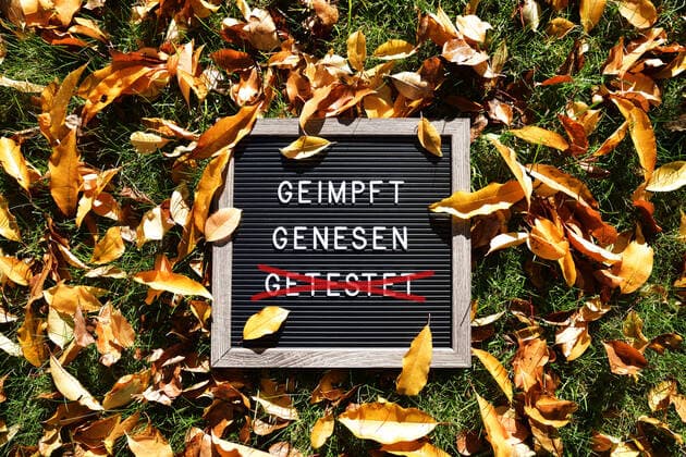 FOTOMONTAGE, Schild mit Aufschrift geimpft und genesen im Herbstlaub, Symbolfoto 2G-Regel
