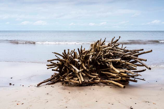 Rough driftwood log on sandy beach washing by wavy ocean against cloudy sky JavierBallester_SaoTome_10.jpg Copyright: xJavierxBallesterx Model Released