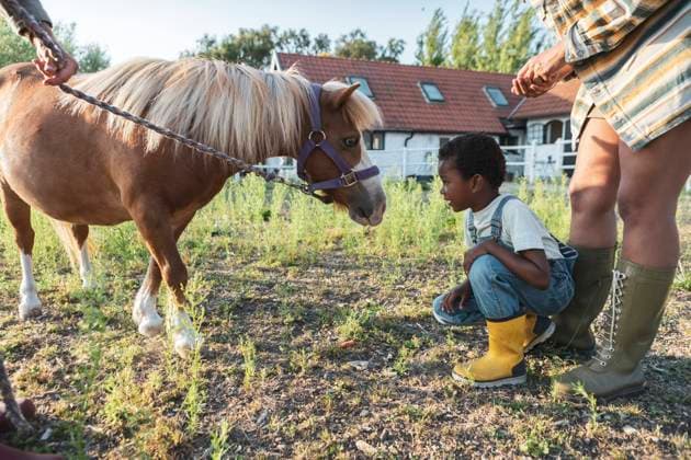 IMAGO Creative, Kinder auf dem Reiterhof Boy crouching while looking at pony with family Sweden, Skane, model released, property released Copyright: xMaskotx , MA89282