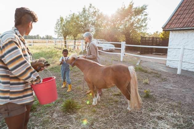 IMAGO Creative, Kinder auf dem Reiterhof Multi-generational family with horse at farm Sweden, Skane, model released, property released Copyright: xMaskotx , MA89283