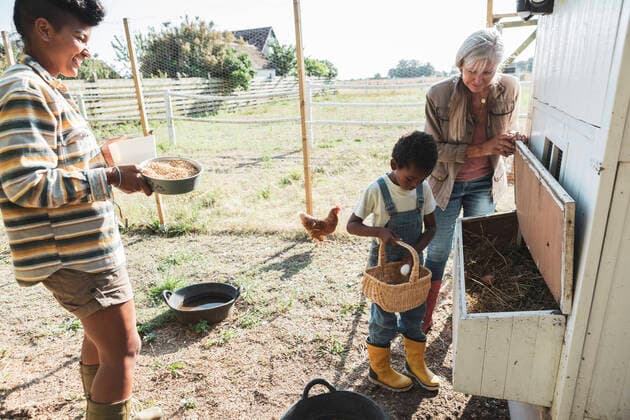 IMAGO Creative: Landleben - Essen Creative Highlights Symbolbilder Boy keeping egg in basket from chicken coop by grandmother and mother Sweden, Skane, model released, property released Copyright: xMaskotx , MA89307