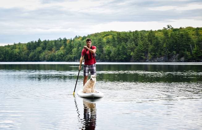 Man paddling a stand up paddleboard SUP with his dog on a lake. Buck Lake, Ontario, Canada CR_DOHO211028G-846913-01 ,model released, Symbolfoto