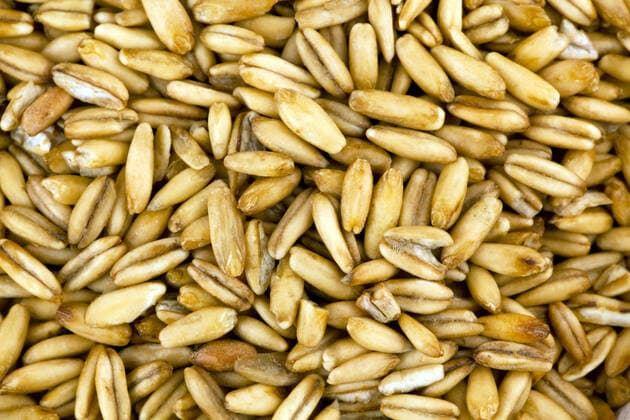 IMAGO Nature: Unsere Erde, Klimawandel, Ernährung, Pflanzen der Zukunft, Hafer Getreidekörner vom Hafer. Ein Erzeugnis der Landwirtschaft. McPBBO *** Oat grains A product of McPBBO Agriculture McPBBO