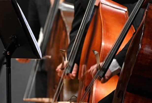 Konzert des Orchesters der Gesellschaft der Musikfreunde Gmunden, im Toskana Kongress, im Rahmen der Salzkammergut Festwochen in Gmunden, am 30.10.21. Das Bild zeigt zeigt die spielenden Hände von Bassgeigern 2021 - Konzert des Orchesters der Gesellschaft der Musikfreunde Gmunden, im Toskana Kongress, im Rahmen der Salzkammergut Festwochen in Gmunden, am 30.10.21