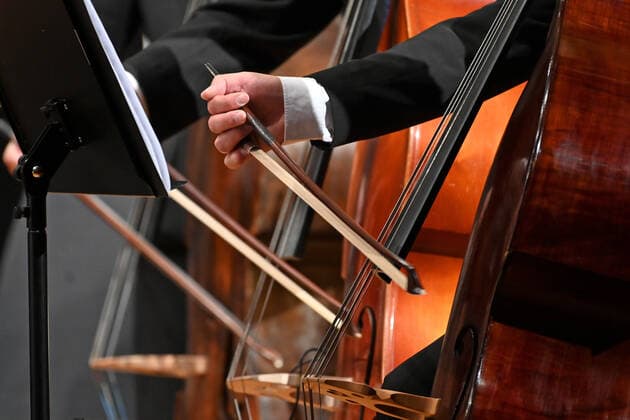 Konzert des Orchesters der Gesellschaft der Musikfreunde Gmunden, im Toskana Kongress, im Rahmen der Salzkammergut Festwochen in Gmunden, am 30.10.21. Das Bild zeigt zeigt die spielenden Hände von Bassgeigern 2021 - Konzert des Orchesters der Gesellschaft der Musikfreunde Gmunden, im Toskana Kongress, im Rahmen der Salzkammergut Festwochen in Gmunden, am 30.10.21