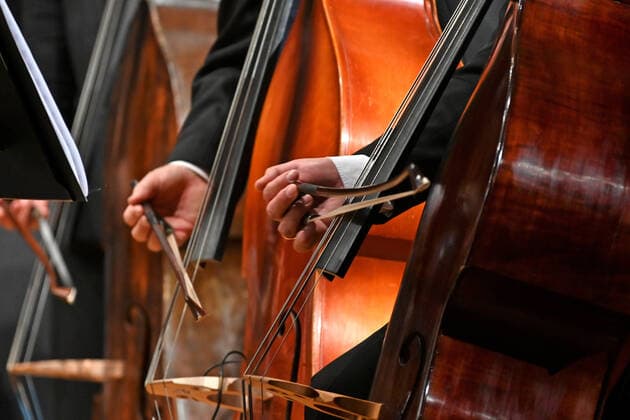 Konzert des Orchesters der Gesellschaft der Musikfreunde Gmunden, im Toskana Kongress, im Rahmen der Salzkammergut Festwochen in Gmunden, am 30.10.21. Das Bild zeigt zeigt die spielenden Hände von Bassgeigern 2021 - Konzert des Orchesters der Gesellschaft der Musikfreunde Gmunden, im Toskana Kongress, im Rahmen der Salzkammergut Festwochen in Gmunden, am 30.10.21