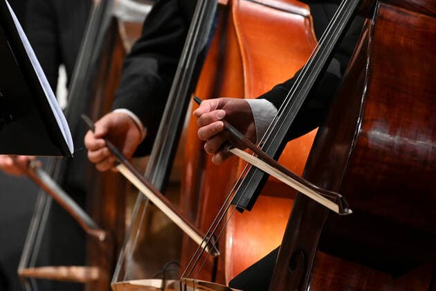 Konzert des Orchesters der Gesellschaft der Musikfreunde Gmunden, im Toskana Kongress, im Rahmen der Salzkammergut Festwochen in Gmunden, am 30.10.21. Das Bild zeigt zeigt die spielenden Hände von Bassgeigern 2021 - Konzert des Orchesters der Gesellschaft der Musikfreunde Gmunden, im Toskana Kongress, im Rahmen der Salzkammergut Festwochen in Gmunden, am 30.10.21