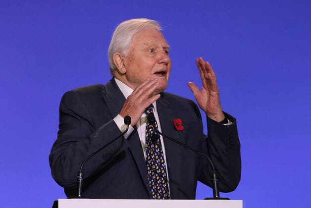 . 01 11 2021. Glasgow, United Kingdom. Sir David Attenborough speaking at the opening ceremony of Cop 26 in Glasgow, Scotland, United Kingdom.  xPoolx xi-Imagesx IIM-22758-0022