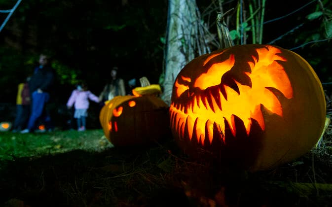 News Bilder des Tages (211102) -- MISSISSAUGA, Nov. 2, 2021 -- People look at Jack-O-Lanterns during a pumpkin parade event in Whiteoaks Park in Mississauga, Ontario, Canada, on Nov. 1, 2021. As an annual post-Halloween tradition, pumpkin parades returned to Ontario on Monday this year. (Photo by Xinhua) CANADA-MISSISSAUGA-PUMPKIN PARADE ZouxZheng 