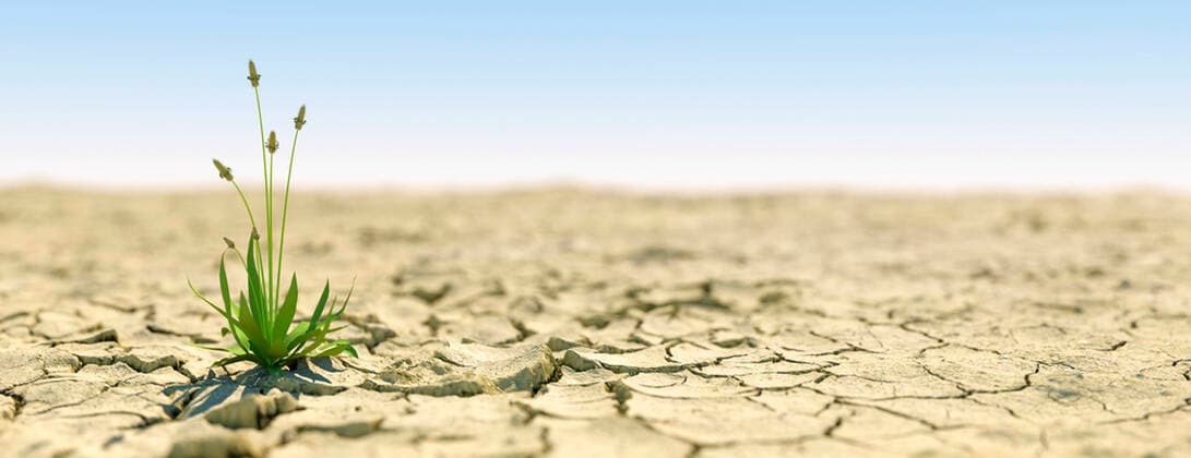IMAGO Nature: Unsere Erde, Klimawandel, Dürren Single plant growing during an extreme drought concept that life carries on 3d render 4050_rf_23_fi_ab4_img_0095