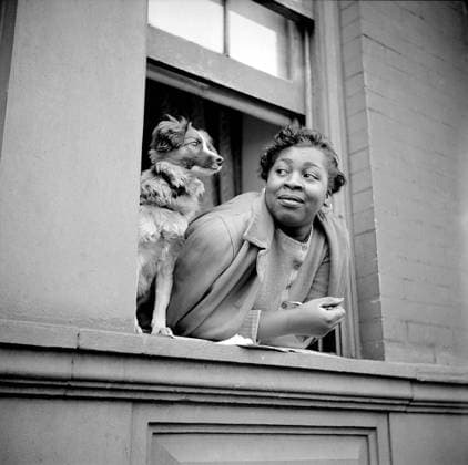 October 14, 2021, New York City, New York, USA: Women with her Dog leaning out of Apartment Window, Harlem, New York City, New York, USA, Gordon Parks, U.S. Office of War Information, May 1943 New York City USA - ZUMAg145 20211014_zap_g145_007 Copyright: xJTxVintagex