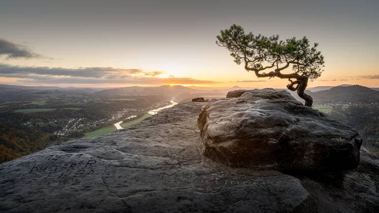 DIe Wetterkiefer auf dem Lilienstein in der Sächsischen Schweiz zum Sonnenaufgang *** The weather pine on the Lilienstein in Saxon Switzerland at sunrise Copyright: imageBROKER FotoatelierxBerlin iblbdh07163115.jpg