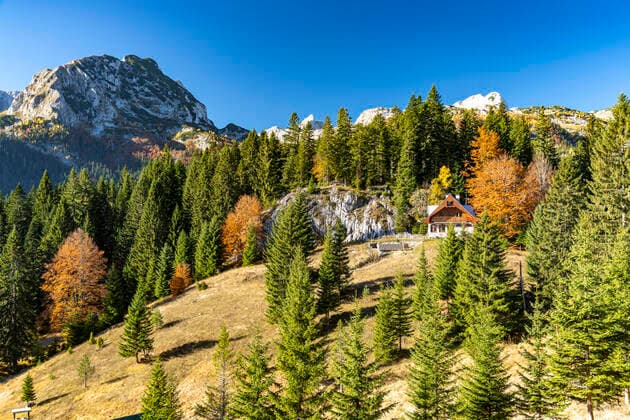 Durmitor Nationalpark Gebirgslandschaft im Durmitor Nationalpark, Žabljak, Montenegro, Europa Durmitor National Park mountain range, Žabljak, Montenegro, Europe *** Durmitor National Park mountain range, Žabljak, Montenegro, Europe Durmitor National Park mountain range, Žabljak, Montenegro, Europe