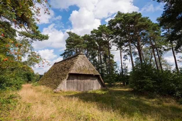 Schafstall, bei Niederhaverbeck, Naturpark Lüneburger Heide, Niedersachsen, Deutschland, Europa *** Sheepfold, near Niederhaverbeck, Lüneburg Heath Nature Park, Lower Saxony, Germany, Europe Copyright: imageBROKER DanielxSchoenen ibxdjs07166927.jpg