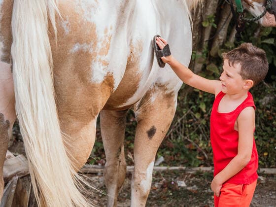 IMAGO Creative, Kinder auf dem Reiterhof Side view of caring boy with brush combing fur of horse in harness in countryside, Model released HodeiUnzueta_HorsesCare_001.jpg Copyright: xHodeixUnzuetax MR