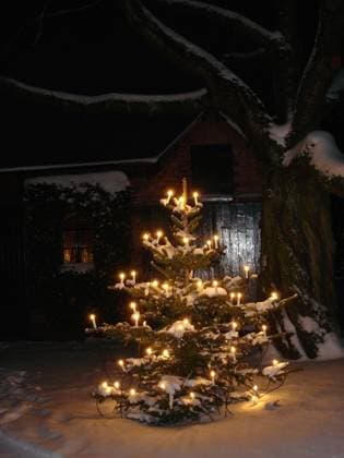 Weihnachtszeit, Weihnachtsbaum mit Lichtern im verschneiten Garten; Christmastime, Christmas tree with lights in the snowy garden McPWAL *** Christmas time, Christmas tree with lights in the snowy garden Christmastime, Christmas tree with lights in the snowy garden McPWAL McPWAL