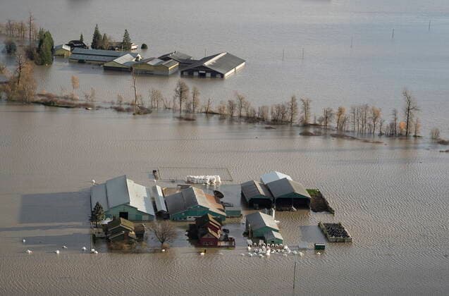 November 16, 2021, ABBOTSFORD, BC, Canada: A farm is surrounded by flood waters in Abbotsford, B.C., Tuesday, Nov. 16, 2021. ABBOTSFORD Canada  - ZUMAc35_ 20211116_zaf_c35_082 Copyright: xJonathanxHaywardx