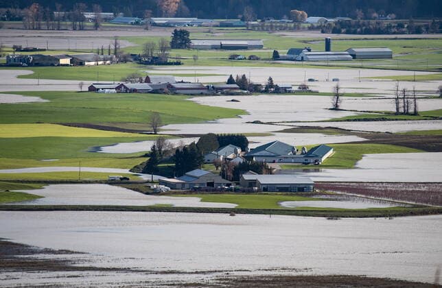 November 17, 2021, ABBOTSFORD, BC, CANADA: A truck towing a horse trailer travels through flooded farmland on a road partially covered with water in Abbotsford, B.C., on Wednesday, November 17, 2021. ABBOTSFORD CANADA  - ZUMAc35_ 20211117_zaf_c35_080 Copyright: xDarrylxDyckx