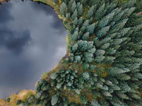 Aerial view of a reflective lake surrounded by pine trees United States, Oregon, Government Camp CR_GAWA211117-860821-01
