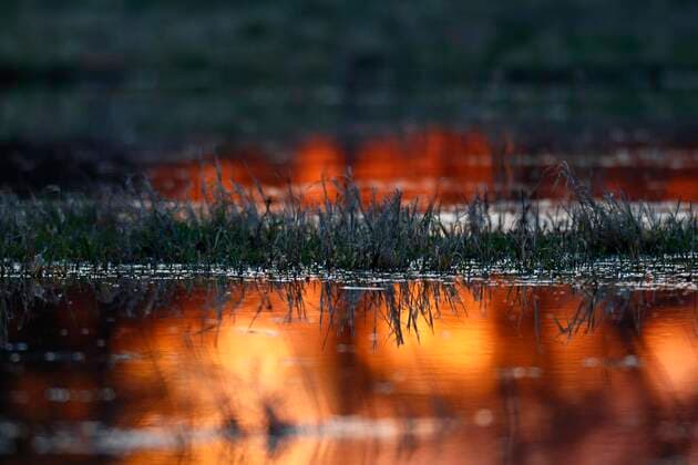  Spiegelung des Sonnenaufgangs auf einer überstauten Wiese im Winter im Auwald, Biosphärenreservat Mittlere Elbe, Dessau-Roßlau, Sachsen-anhalt, Deutschland, Europa *** Reflection of the sunrise on a flooded meadow in winter in the floodplain forest, Biosphere Reserve Middle Elbe, Dessau Roßlau, Saxony-Anhalt, Germany, Europe Copyright: imageBROKER/VolkerxLautenbach ibxmmv07137798.jpg