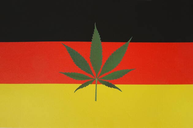 Deutschlandfahne und Hanfblatt Deutschlandfahne und Hanfblatt, 19.11.2021, Borkwalde, Brandenburg, Auf einer Deutschlandfahne liegt ein Hanfblatt. *** Germany flag and hemp leaf Germany flag and hemp leaf, 19 11 2021, Borkwalde, Brandenburg, On a Germany flag lies a hemp leaf