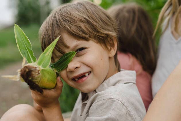 Creative Highlights Symbolbilder Boy with blond hair holding corn model released, SEAF00050